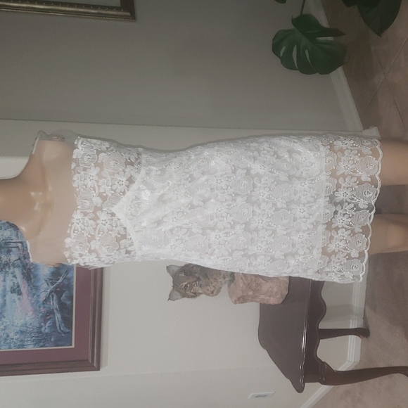 shangyite Dresses & Skirts - Delicately feminine lace & mesh fitted mini dress semi sheer